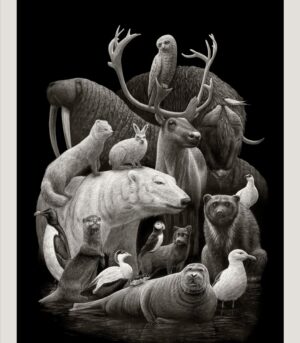 Arctic Fauna