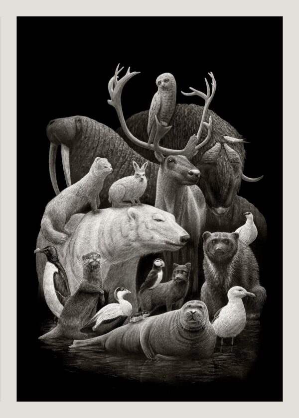 Arctic Fauna