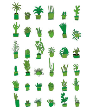 36 Plants