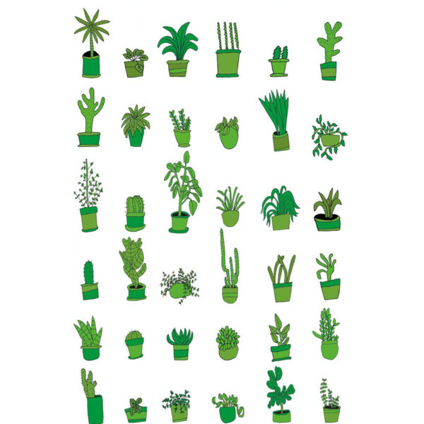 36 Plants