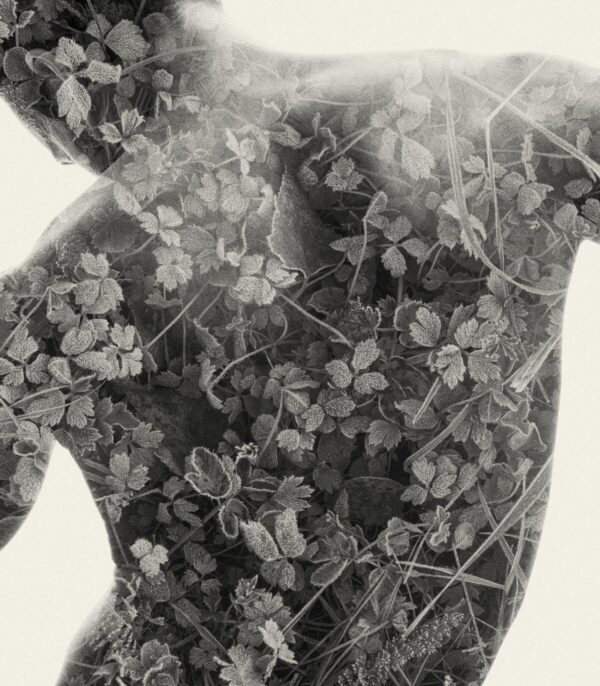 Frosted back