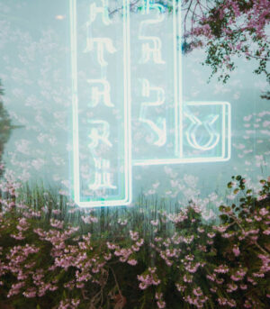 Neonscape 8