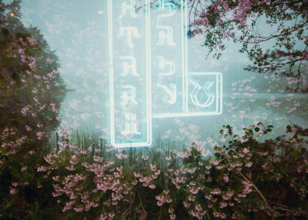 Neonscape 8