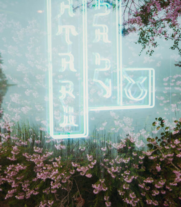 Neonscape 8