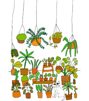 Cat and Plants