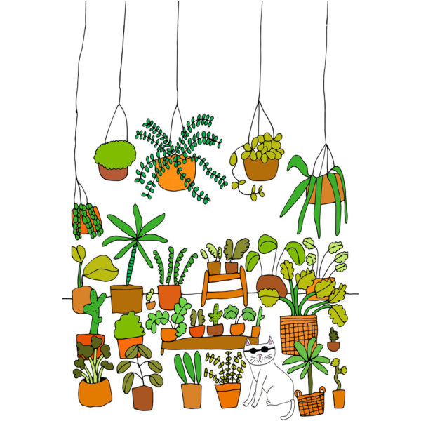 Cat and Plants