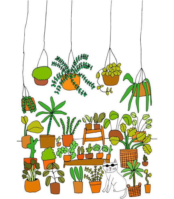 Cat and Plants