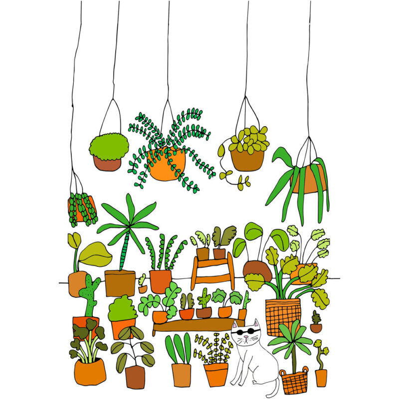 Cat and Plants