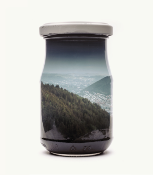 Jarred Mountain Forest II (Bergen Edition)