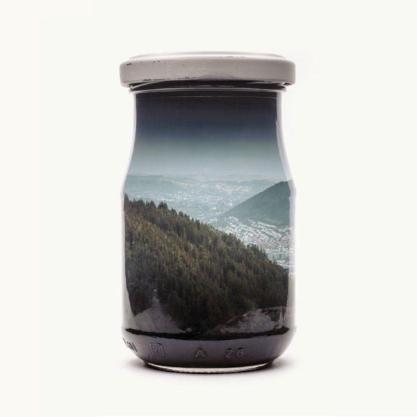 Jarred Mountain Forest II (Bergen Edition)