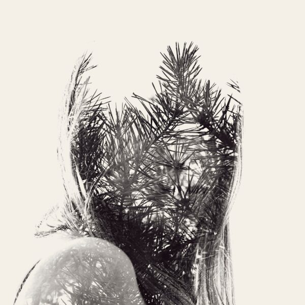 Miss Shyness