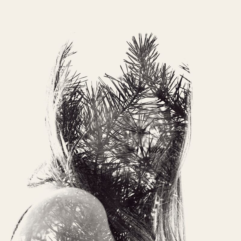 Miss Shyness