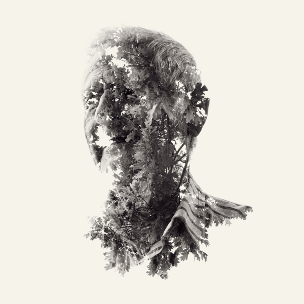 Old As A Tree