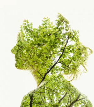 Summer Green