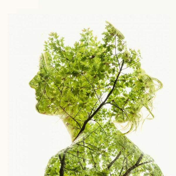 Summer Green