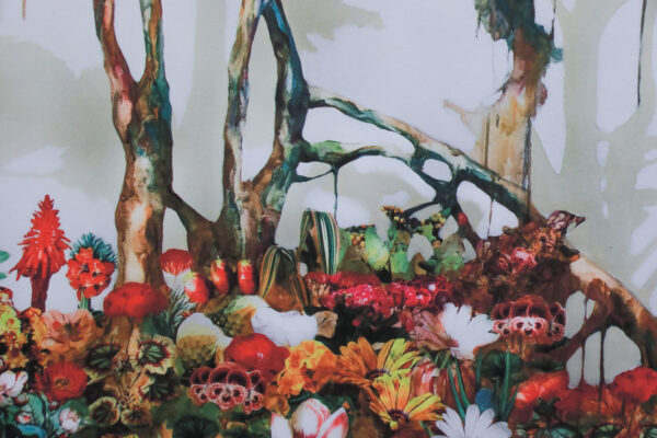 One Day In The Forest - Bilde 3