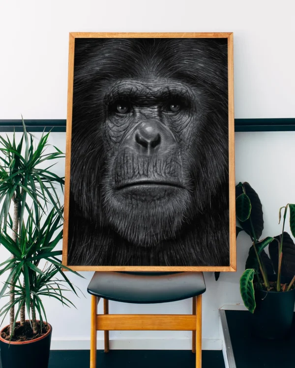 Ape - Bilde 2
