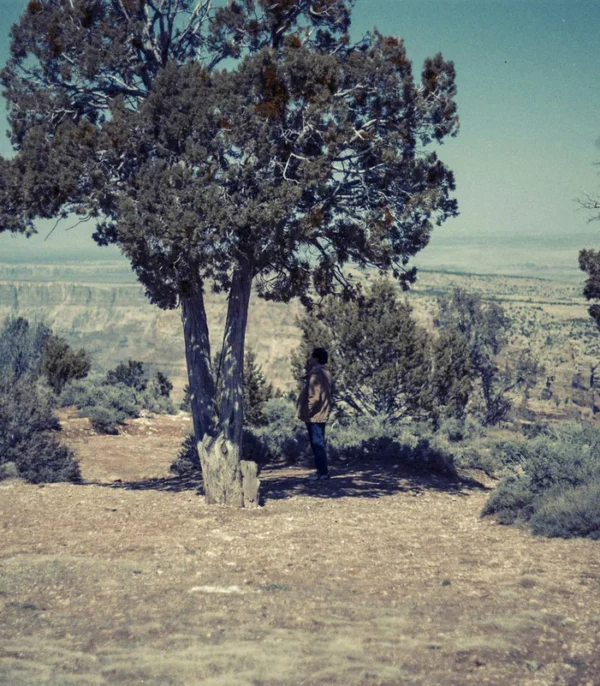 Desert II
