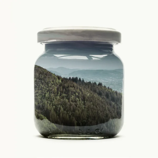 Jarred Mountain Forest (Bergen Edition)