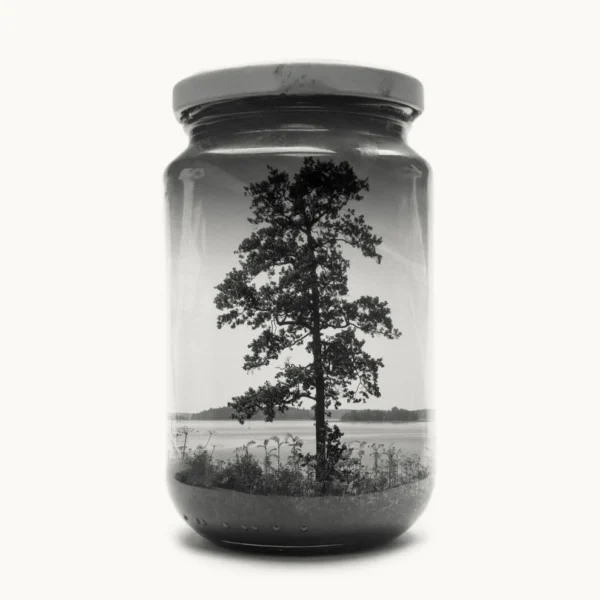 Jarred Tree