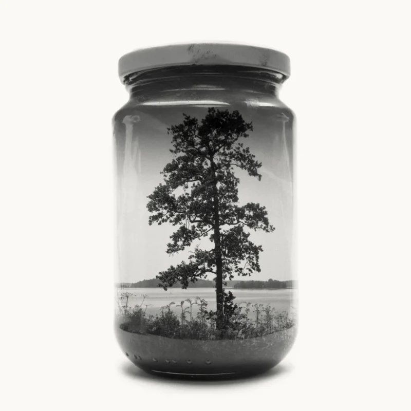 Jarred Tree