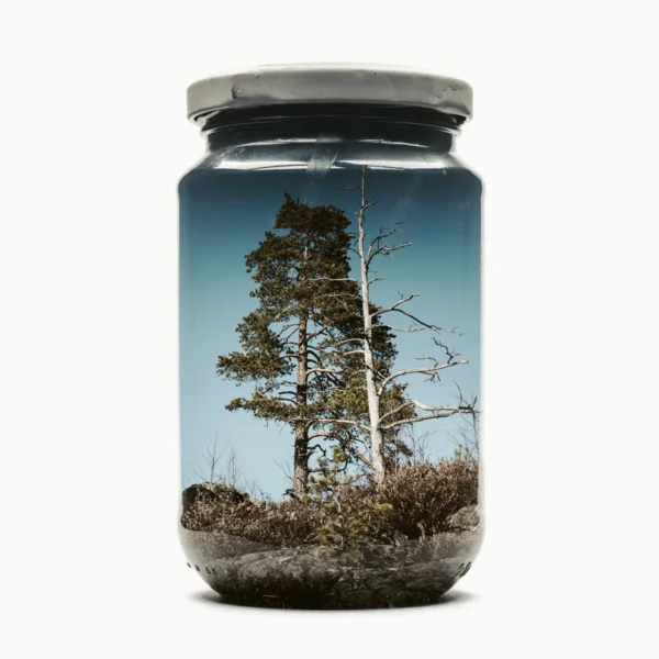 Jarred Couple of Pines