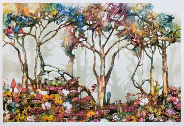 One Day In The Forest