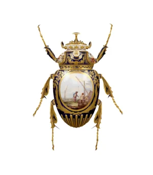 SÈVRES GOLIATHUS SCARABAEIDAE