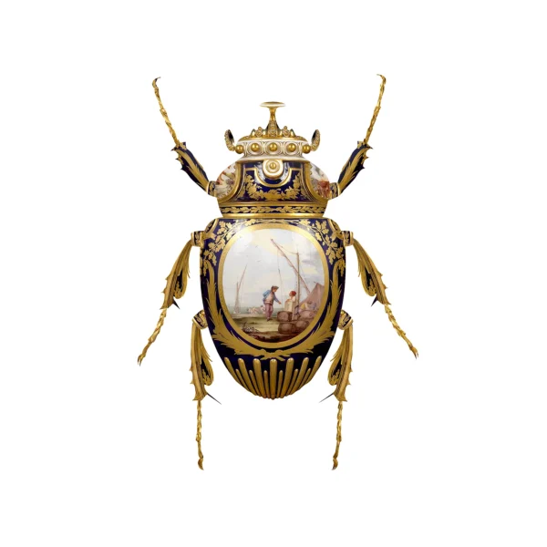 SÈVRES GOLIATHUS SCARABAEIDAE