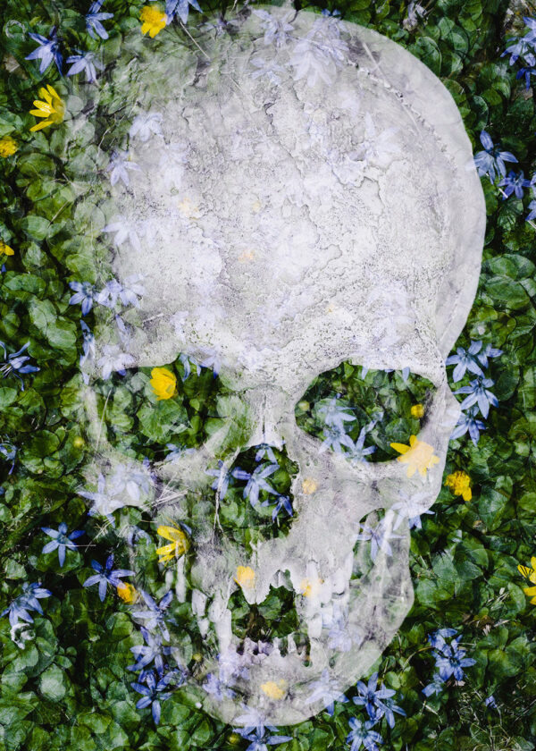 Spring Skull