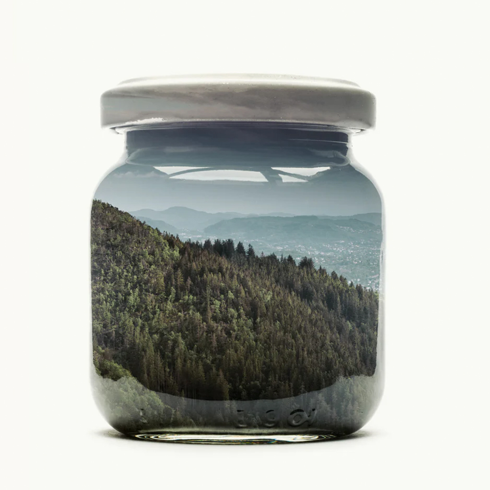 Christoffer Relander Jarred Bergen