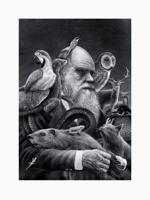 Kunsttrykket "Darwin" av kunstner Børge Bredenbekk viser en mann med mange dyr i sort hvitt farge.