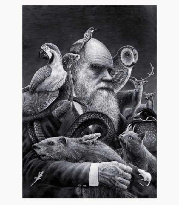 Kunsttrykket "Darwin" av kunstner Børge Bredenbekk viser en mann med mange dyr i sort hvitt farge.