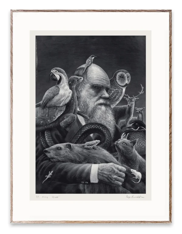 Kunsttrykket "Darwin" av kunstner Børge Bredenbekk viser en mann med mange dyr i sort hvitt farge.