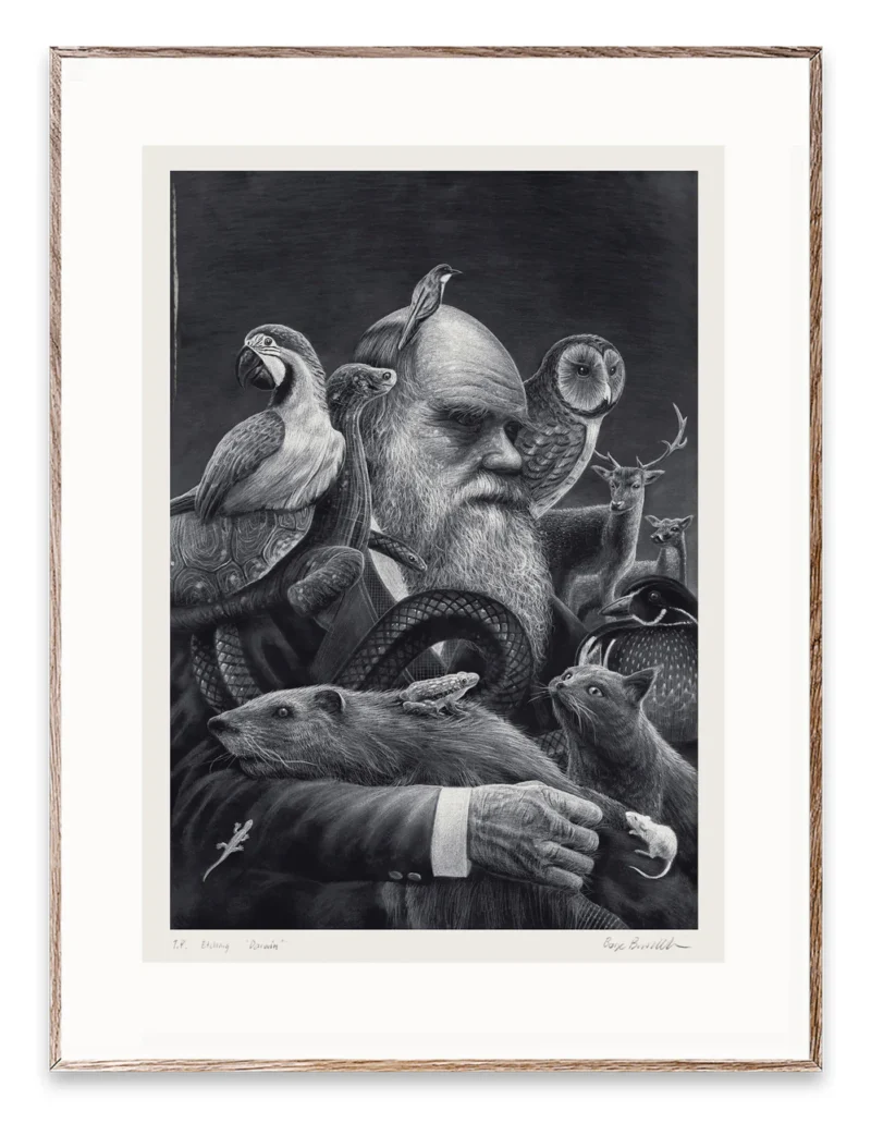 Kunsttrykket "Darwin" av kunstner Børge Bredenbekk viser en mann med mange dyr i sort hvitt farge.