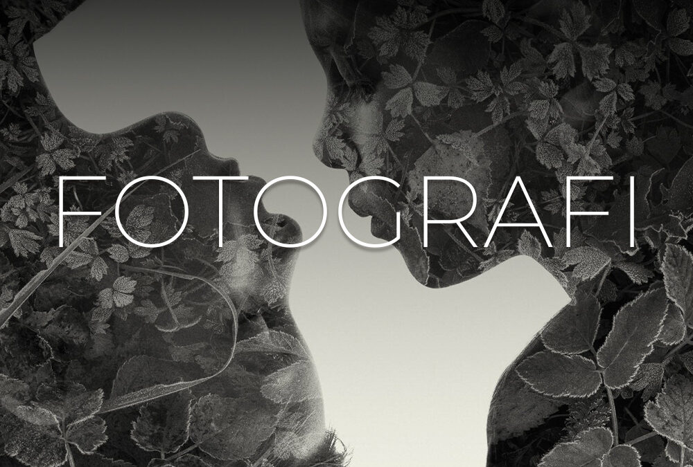 Kuraterte Kolleksjoner: Fotografi