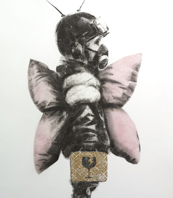 Fragility - HF 56x76