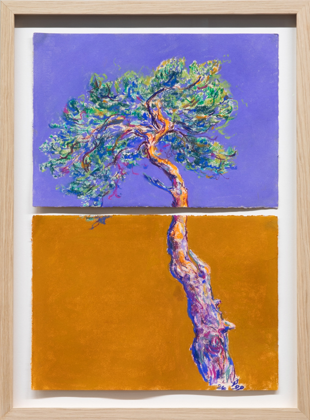 Bodil Drange- As Autumn Approaches - 35x51 cm i ramme