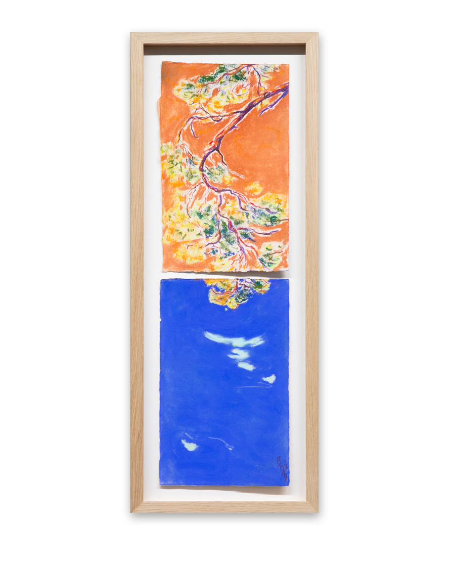 Bodil Drange- What i Saw by the Pond - 20x65 i ramme