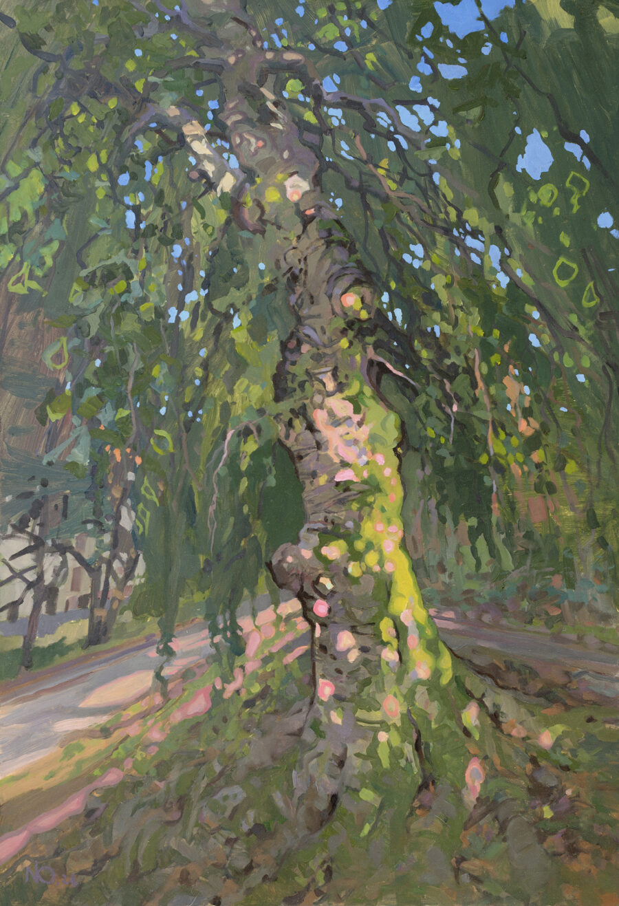 NicholasOLeary_Foliage
