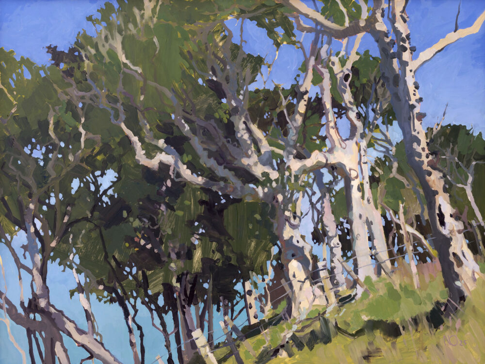 NicholasOLeary_kohekohe